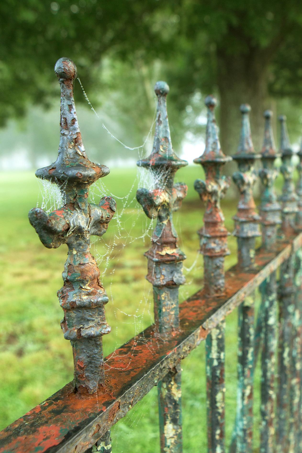 Rebecca Skinner’s “Iron” is a 24 x 16 inch metal print of a wrought iron fence. The color photograph has a satin finish and is infused directly into metal making it waterproof and easy to clean. The frameless print hangs easily with a float mount