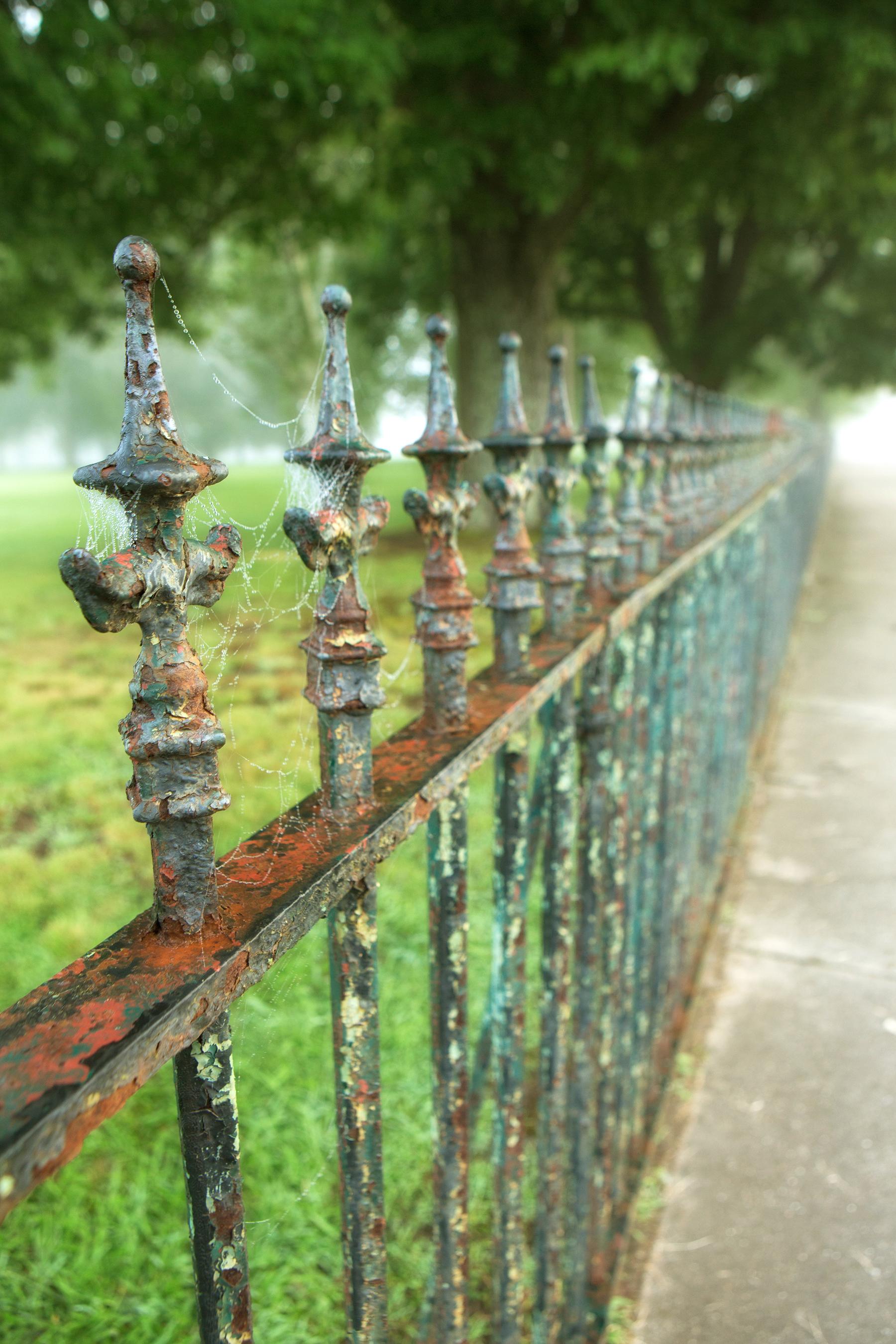 "Iron", contemporary, wrought iron, fence, metal print, green, color photograph - Photograph by Rebecca Skinner
