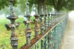 "Iron", color photograph, wrought iron, fence, metal print, ready to hang, green
