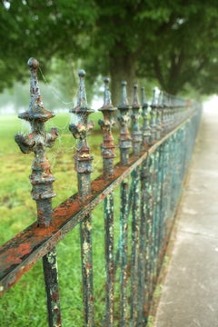 "Iron", color photograph, wrought iron, fence, metal print, ready to hang, green