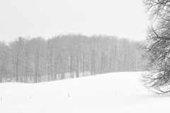 "Lonely Tree", Landscape, Winter, Snow, New England, Black and White Photograph