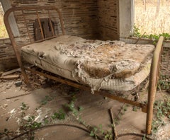 "Nature's Resting", Contemporary, Nature, Green Vines, Bed, Color Photograph