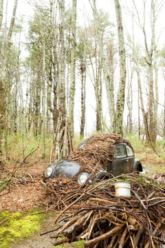 "Nesting", zeitgenössisch, Voltswagen, Landschaft, VW, Farbfotografie, Druck