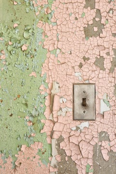 "Power", contemporary, pink, green, switch, texture, color photograph, print