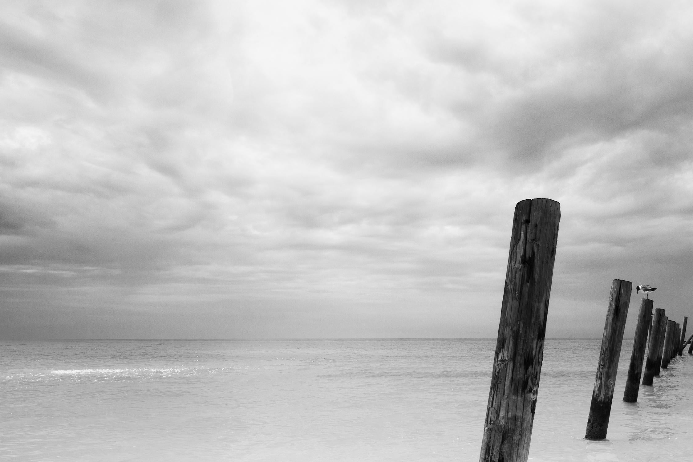 Rebecca Skinner’s “Remnants II” is part of her 