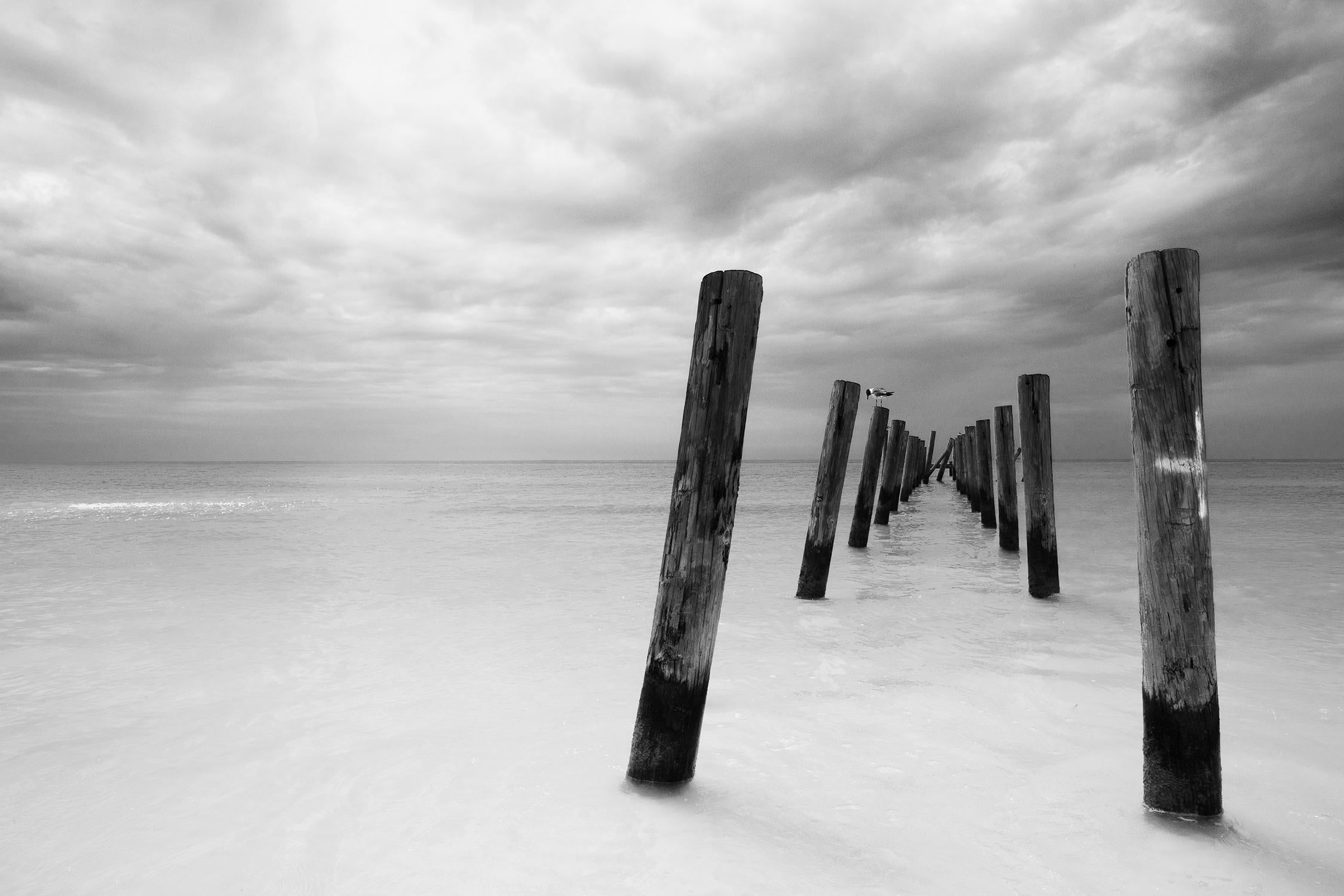 Rebecca Skinner Landscape Photograph - "Remnants II", landscape, black and white, coast, pier pilings, photograph