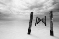 "Remnants II", landscape, black and white, coast, pier pilings, photograph