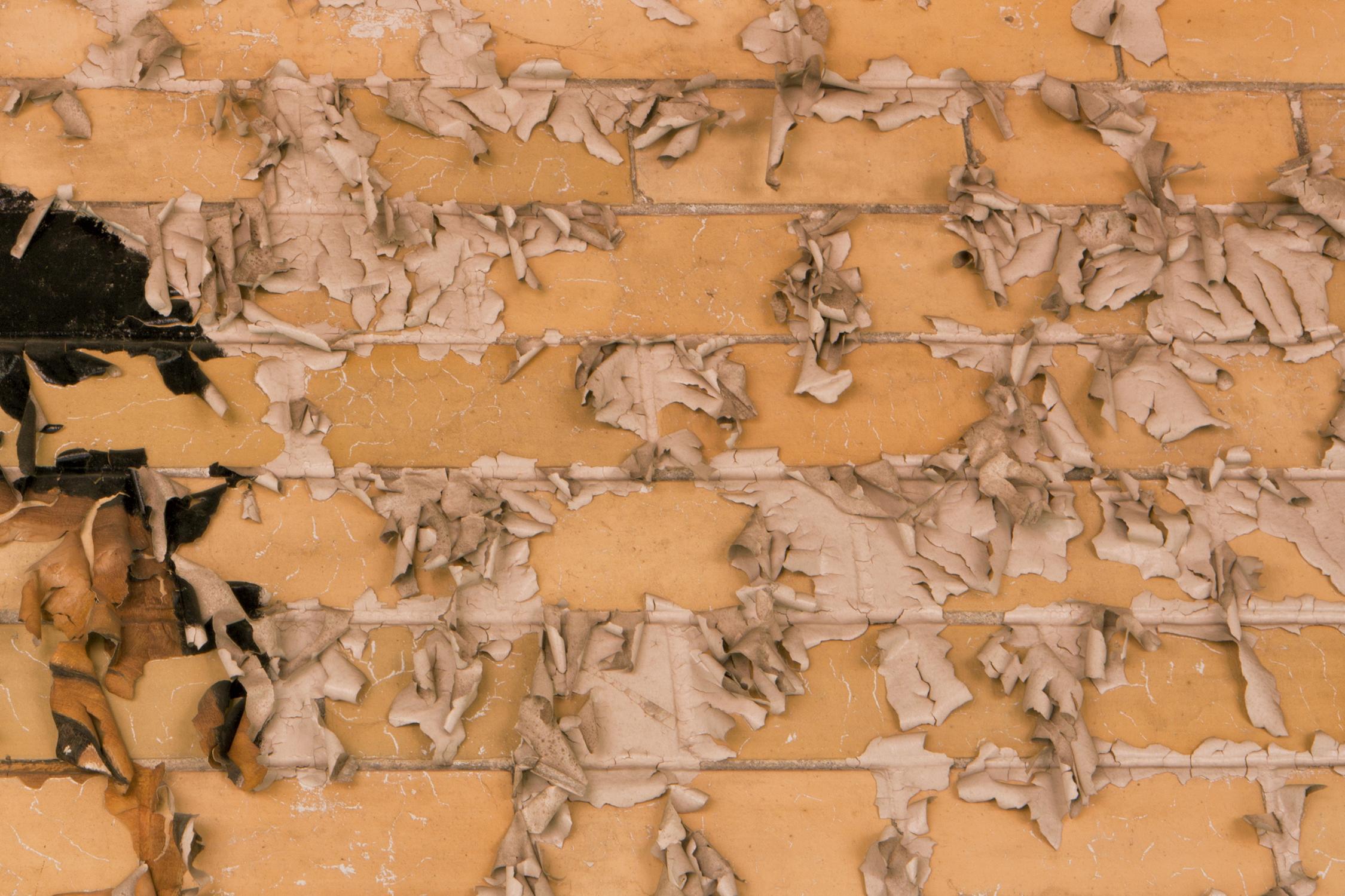 Rebecca Skinner’s “Resolute” is a 11 x 17 inch metal print of graffiti on a wall of peeling paint in a deserted school. The color photograph with hues of peach and brown is almost abstract in how this portrait has decayed. The print has a satin