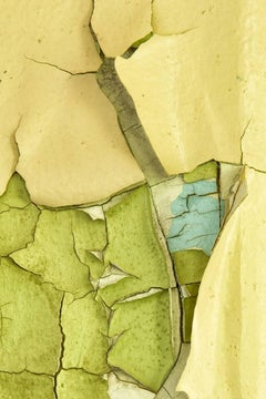 Reveal, Abstract Color Photograph on Metal, 18x12 inches, Edition of 5