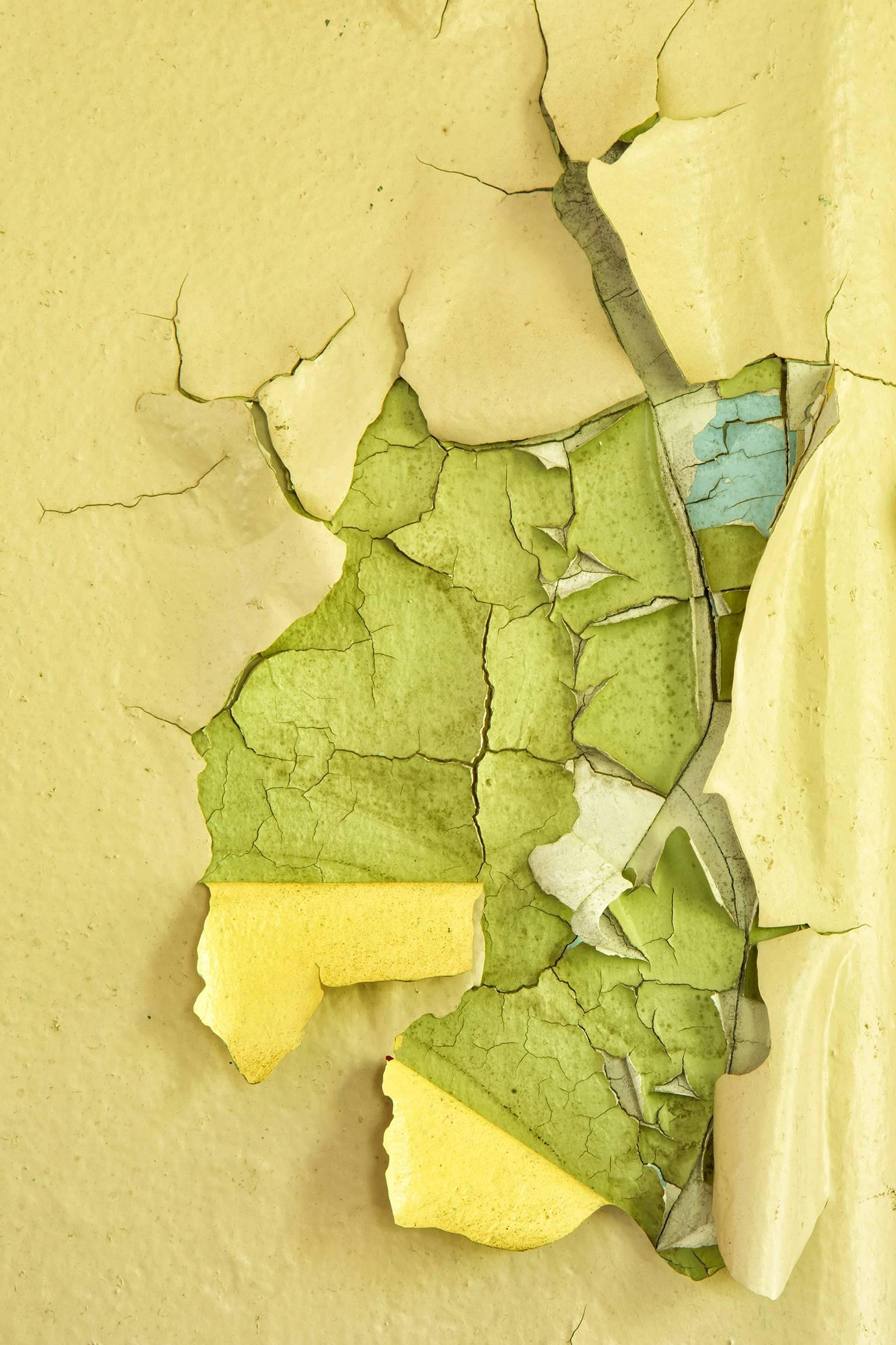 Rebecca Skinner Color Photograph - "Reveal", abstract, metal print, peeling paint, yellow, green, color photograph