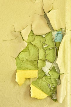 "Reveal", contemporain, abstrait, peinture écaillée, jaune, vert, photographie couleur.
