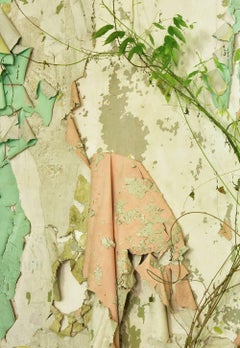 "Rise", contemporaneo, natura, scrostatura, rosa, beige, verde, fotografia a colori