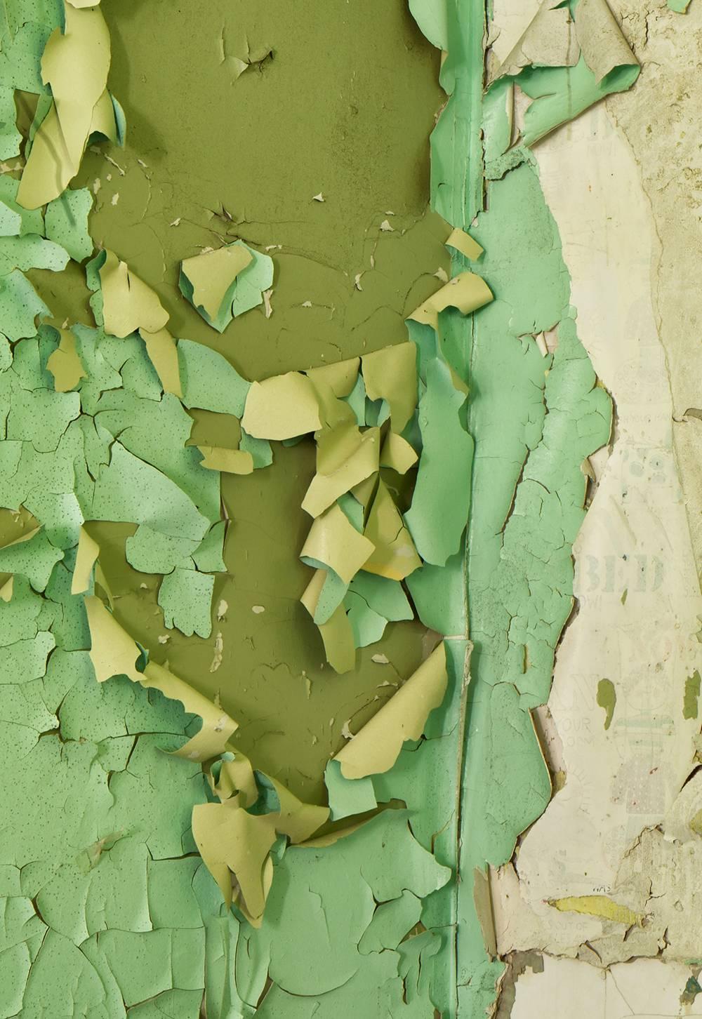 Rebecca Skinner’s “Rise” was photographed in an abandoned home in New York. Nature is reclaiming this room full of peeling paint in greens, pinks and beiges. The 24 x 16 inch color photo with satin finish is infused directly into metal making it