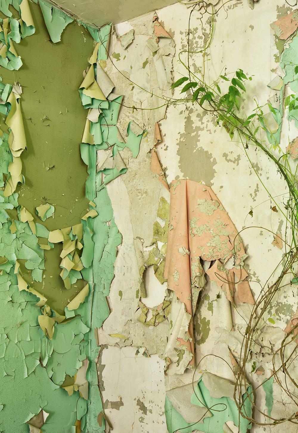 "Rise", color photograph, peeling paint, nature, pink, beige, green, abandoned - Photograph by Rebecca Skinner