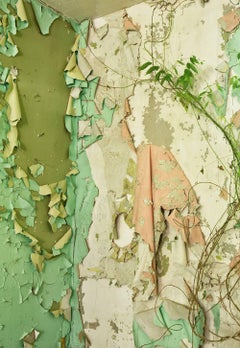"Rise", color photograph, peeling paint, nature, pink, beige, green, abandoned