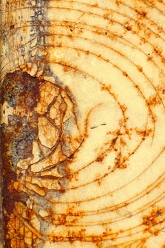 "Rusted Web", Abstract, Texture, Yellow, Orange, Rust, Color Photograph