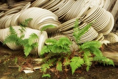 "Stacked", Contemporary, China Factory, Dishes, Green Ferns, Color Photograph