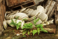 "Stacked", Contemporary, China Factory, Dishes, Green Ferns, Color Photograph