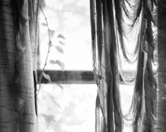 "Tattered", Contemporary, Curtain, Window, Black and White Photograph