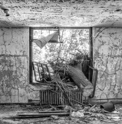 "La raíz del problema", abandonado, negro, blanco, árbol, interior, fotografía