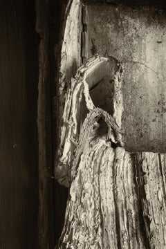 "Timeworn", Contemporary, Medical Journals, Black and White Photograph