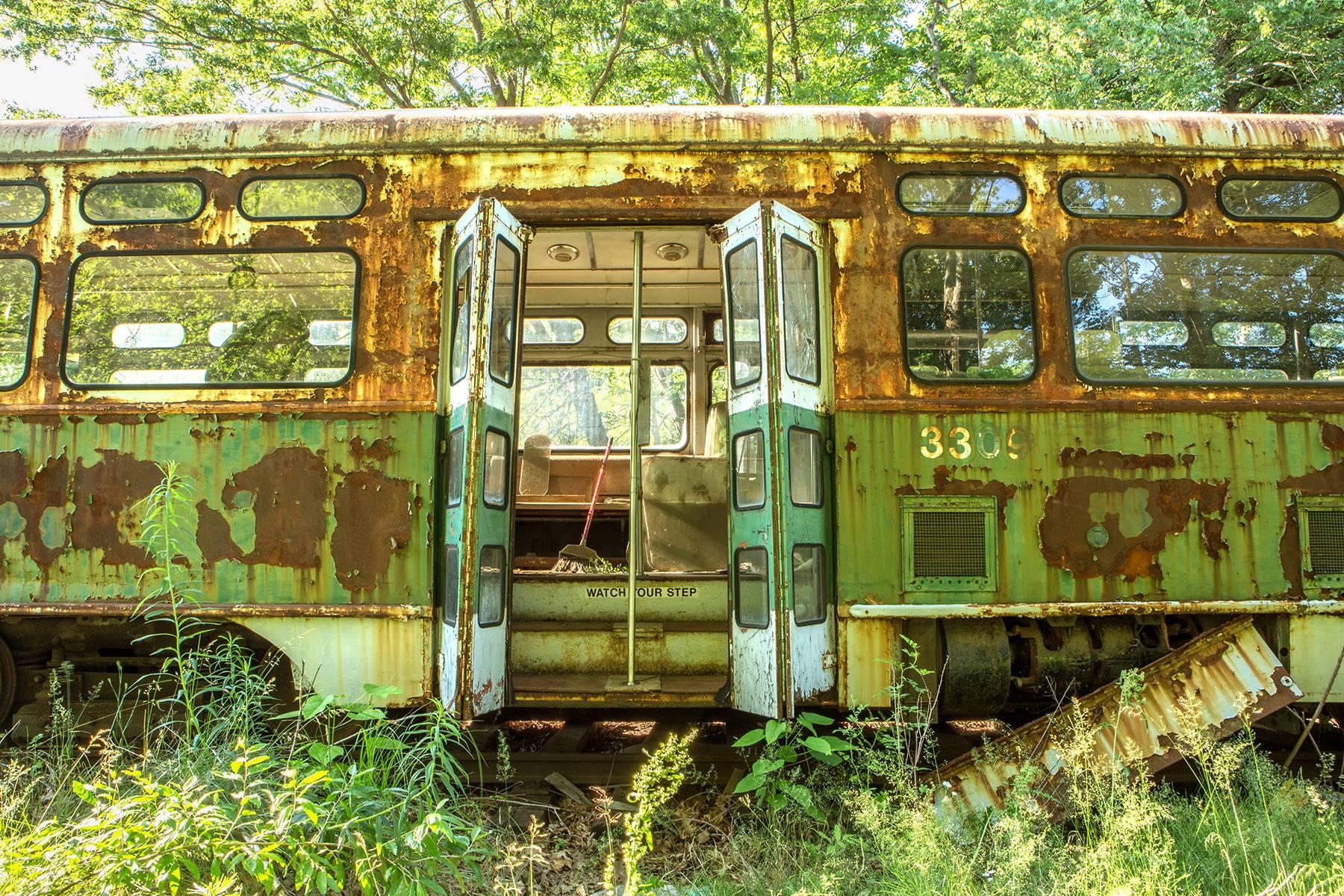 "Trolley Car #3309", color photo, landscape, green, abandoned, transportation
