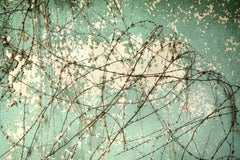 "Sollevante", Contemporaneo, Vite, Interno, Blu, Bianco, Marrone, Fotografia a colori