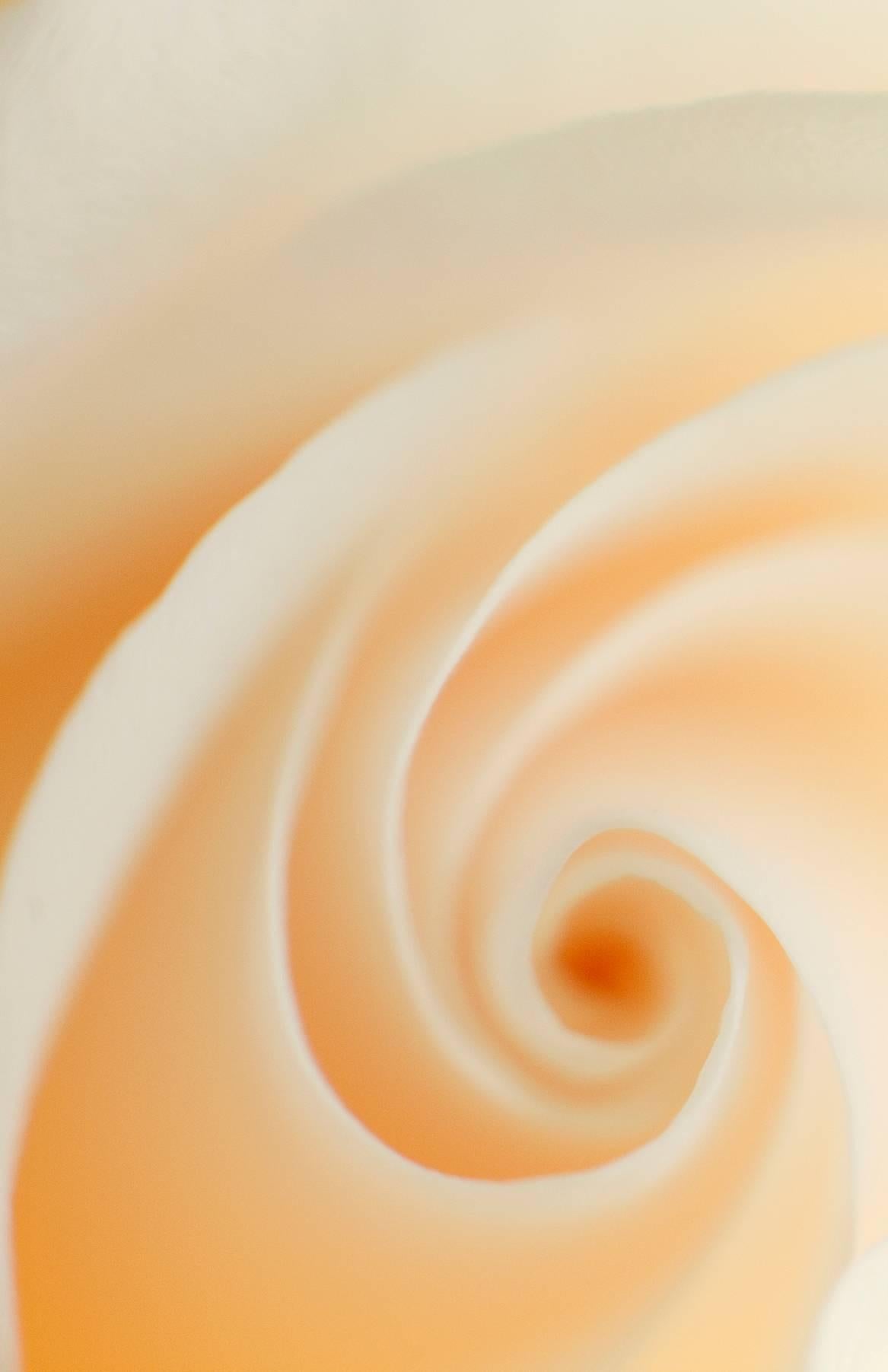 „Weiß“, abstrakt, rosa, Metalldruck, botanisch, beige, warm, Farbfotografie (Zeitgenössisch), Photograph, von Rebecca Skinner