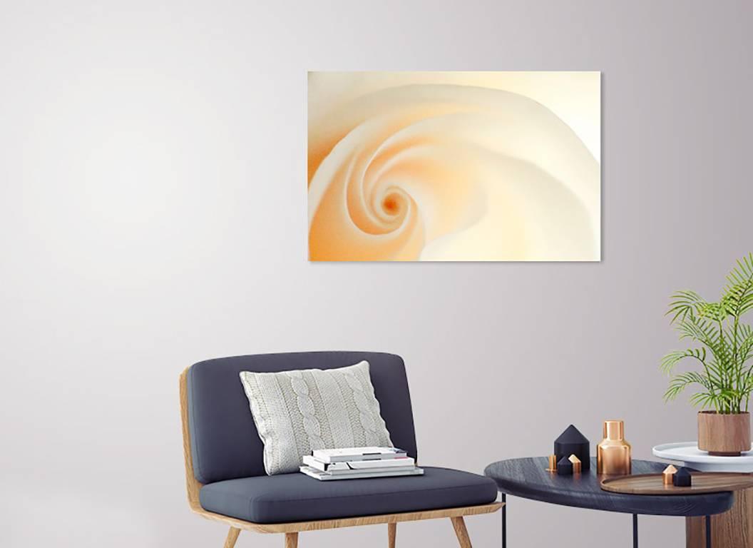 „Weiß“, abstrakt, rosa, Metalldruck, botanisch, beige, warm, Farbfotografie (Orange), Abstract Photograph, von Rebecca Skinner
