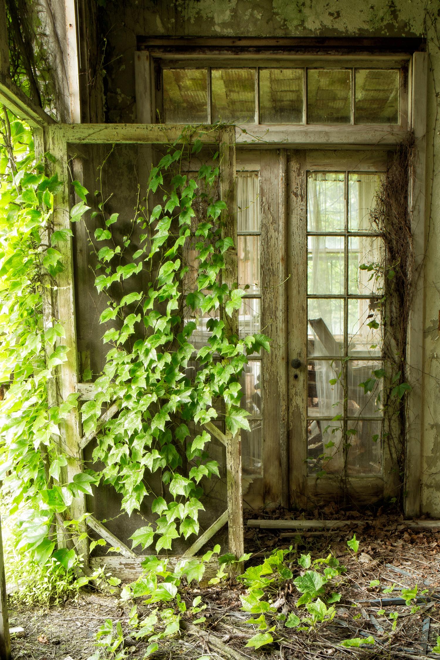 „Within“, verlassen, Natur, Weinreben, Türen, Veranda, Grün, Farbfotografie – Photograph von Rebecca Skinner