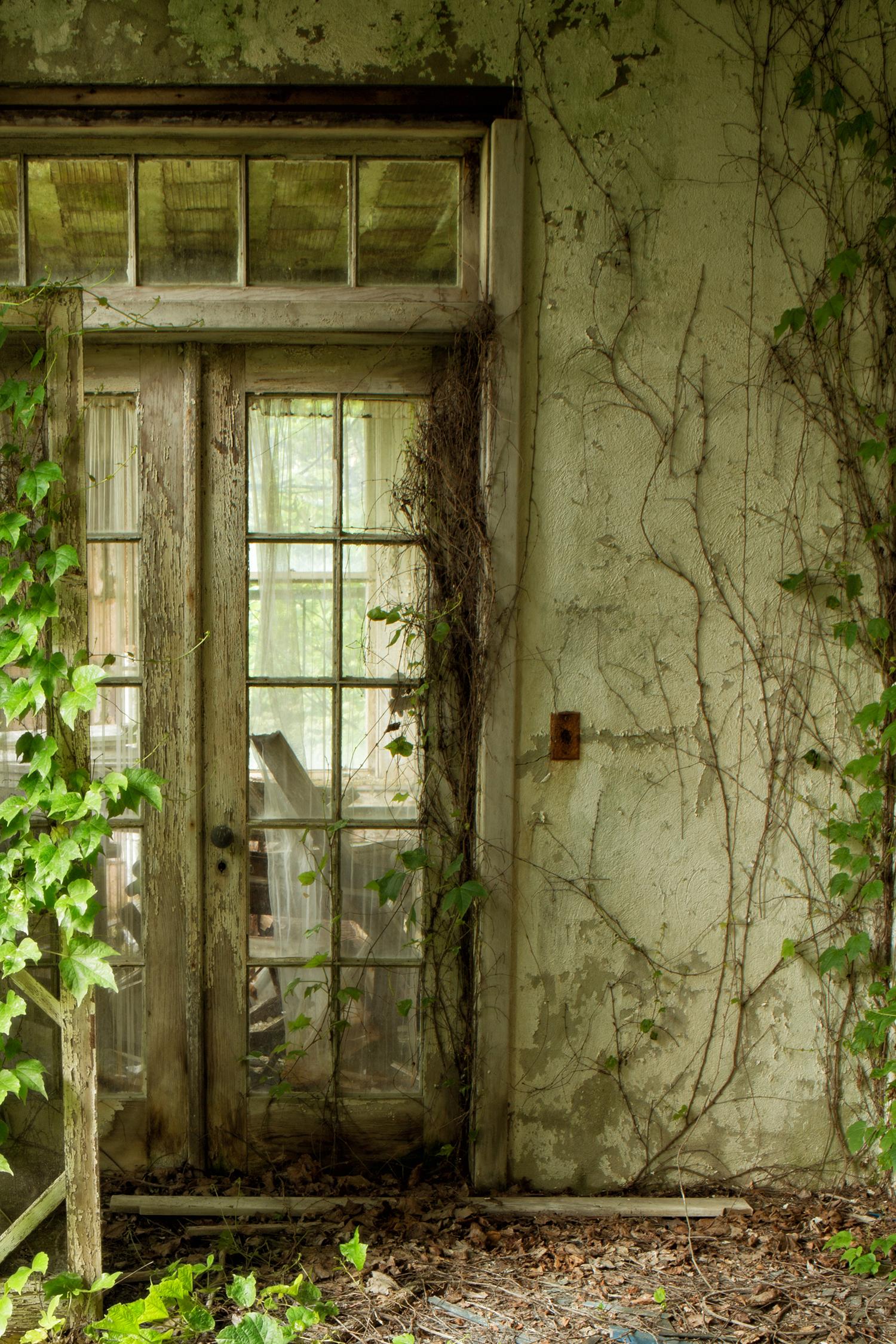 „Within“, verlassen, Natur, Weinreben, Türen, Veranda, Grün, Farbfotografie (Zeitgenössisch), Photograph, von Rebecca Skinner