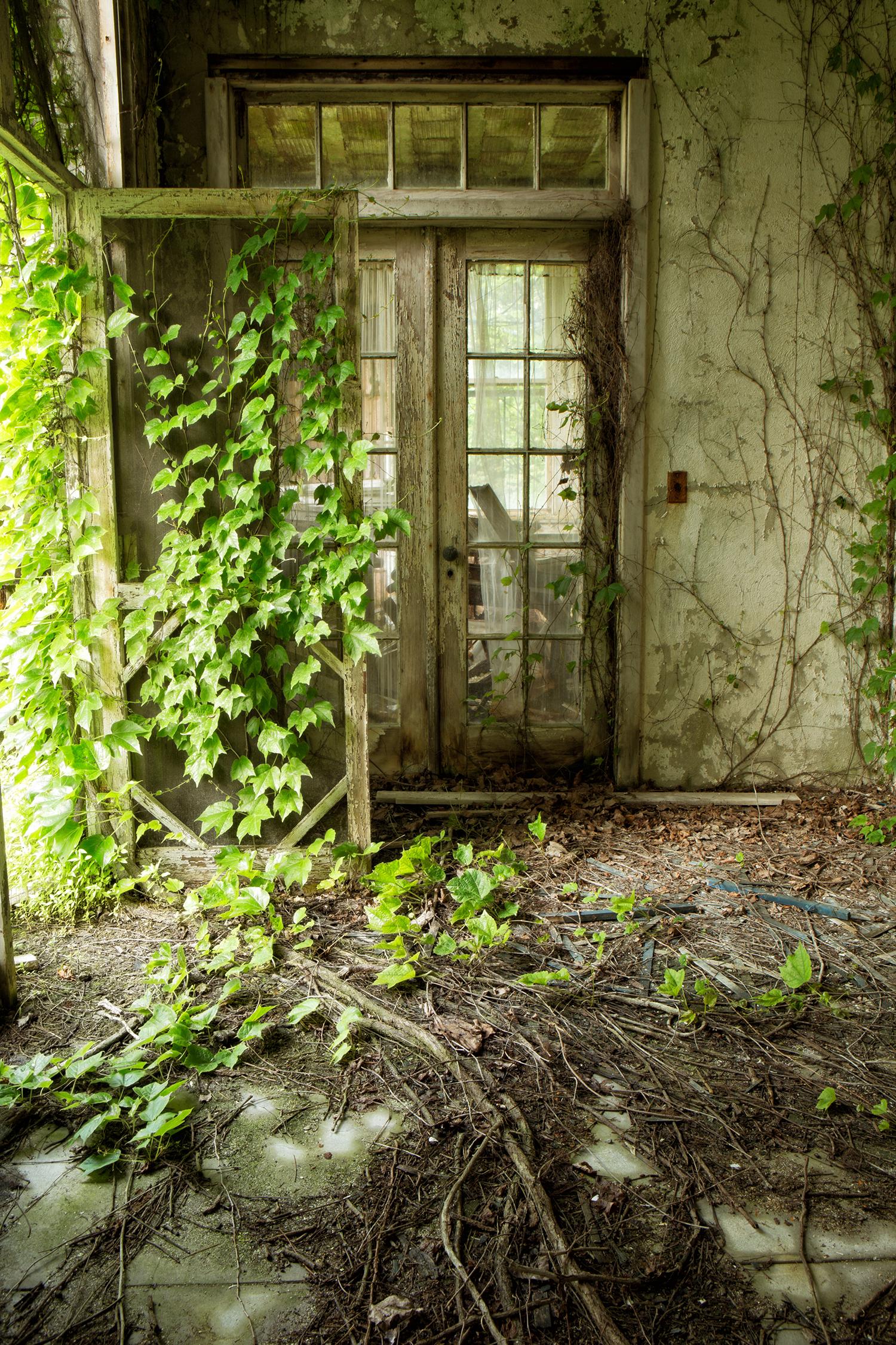 "Within", color photograph, abandoned, nature, vines, doors, porch, green