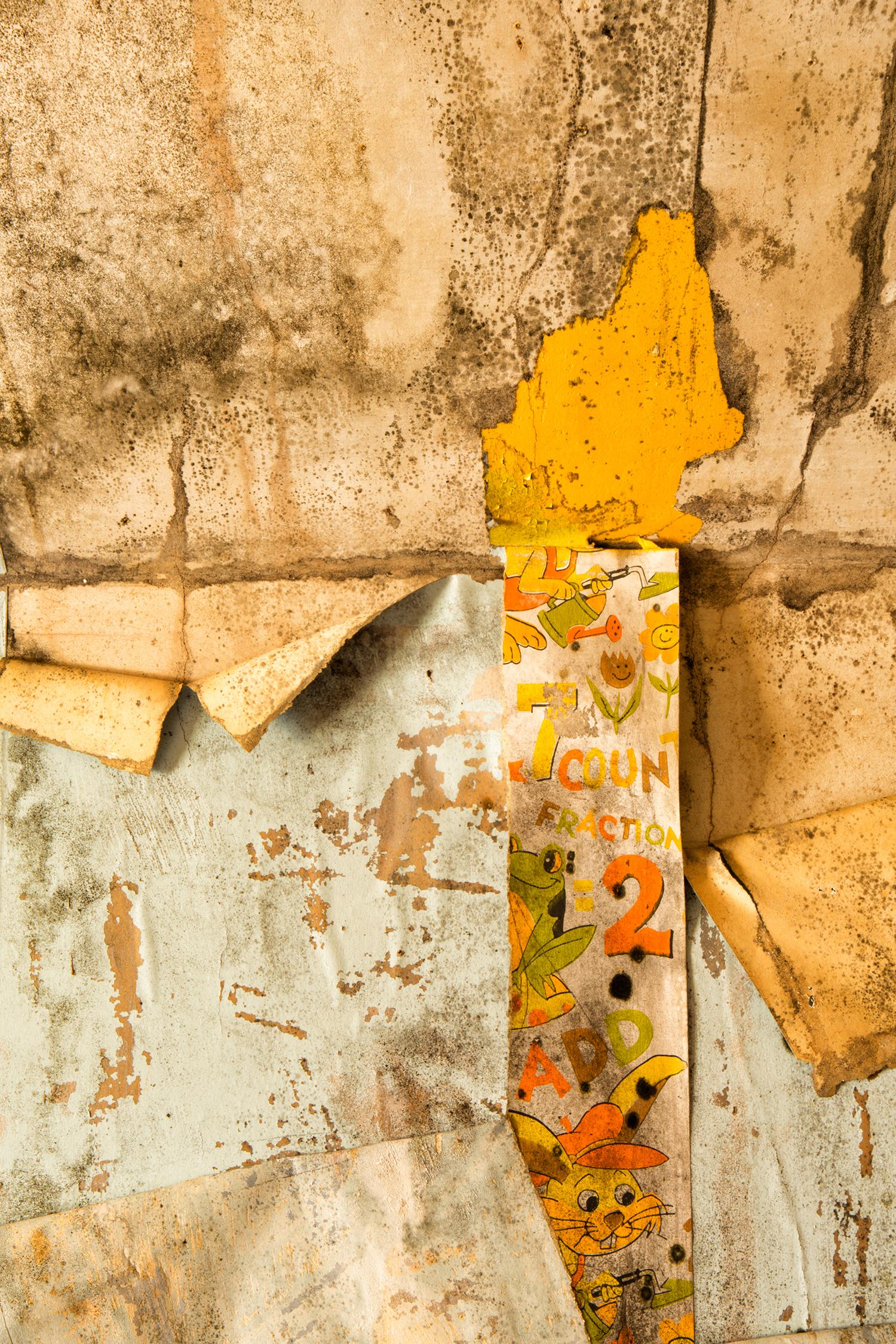 Rebecca Skinner Color Photograph - "Worn 2", contemporary, yellow, wallpaper, color photograph, metal print