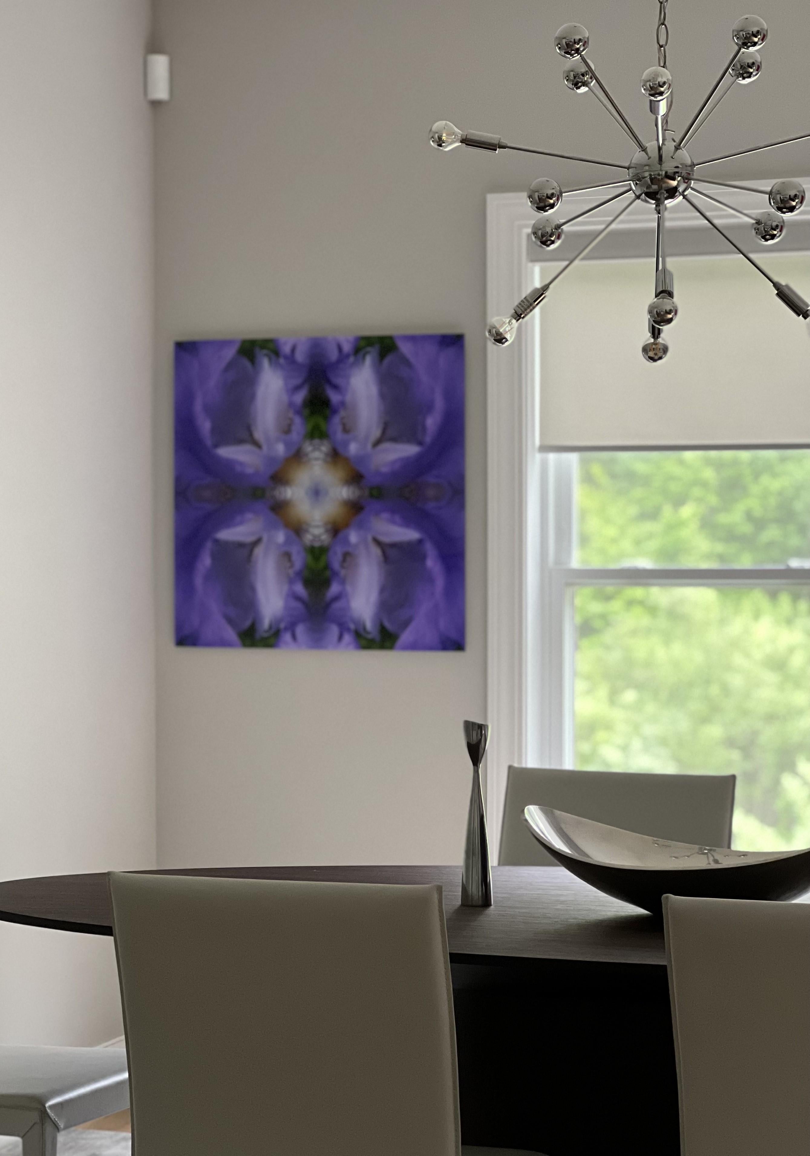 Rebecca Swanson, Eye of the Iris III, photographie en édition limitée, 25x25.  Il est équipé d'une monture Plexiface.  Cette image étonnante est remplie de mauves et d'une touche de vert, de jaune et de brun.  Il s'agit d'une édition de 15