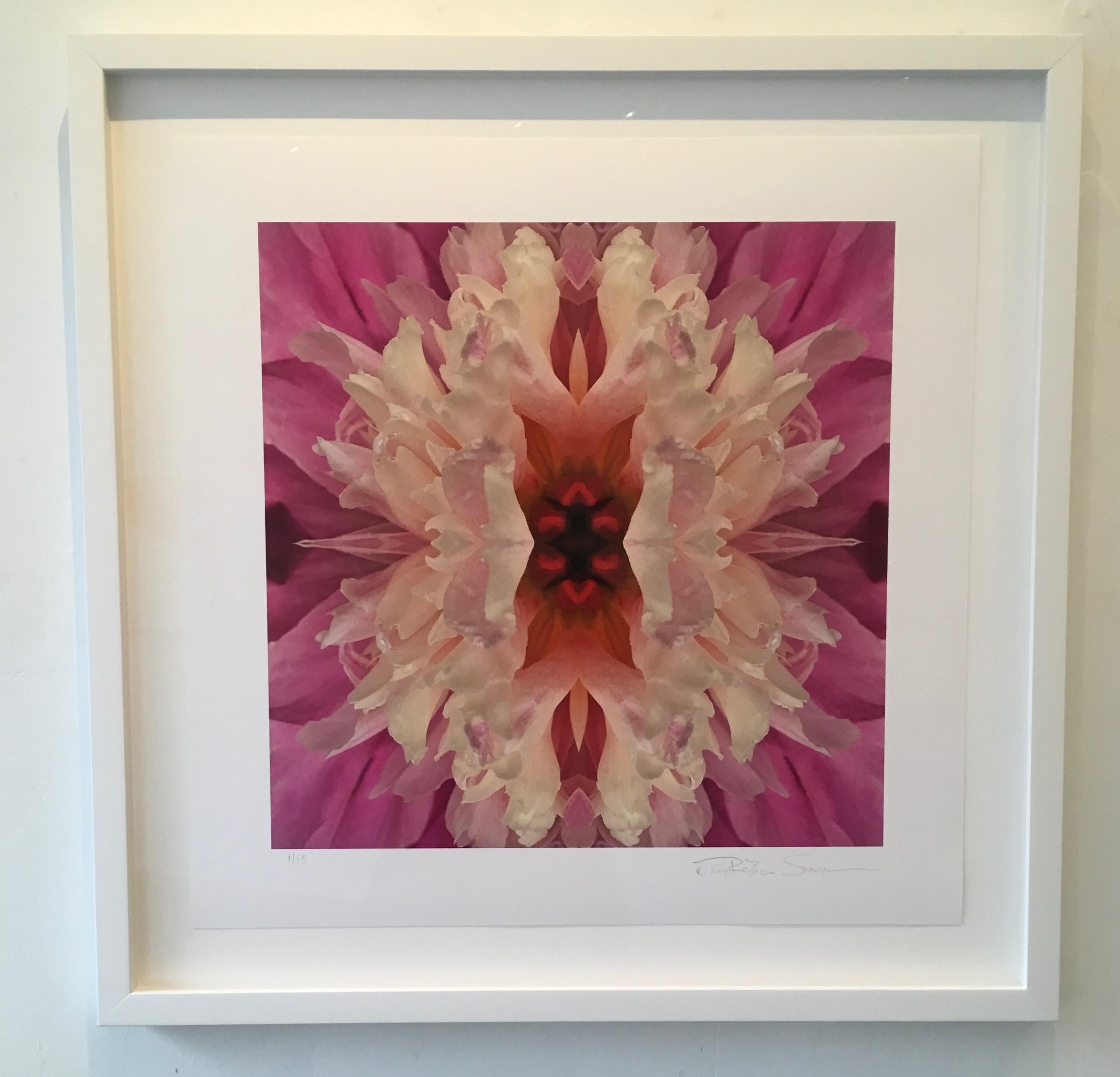 Rebecca Swanson, Eye of the Iris III, Limited Edition Photograph, 15x15.  It is available with Plexifacemount or white frame as shown.  This stunning image is filled purples and a touch of green, yellow and brown.  This is an edition of 15.  Also