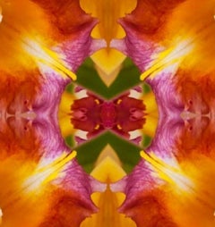 Flower Child II, Flower, Color Photograph, Limited Edition, Floral, Botanical