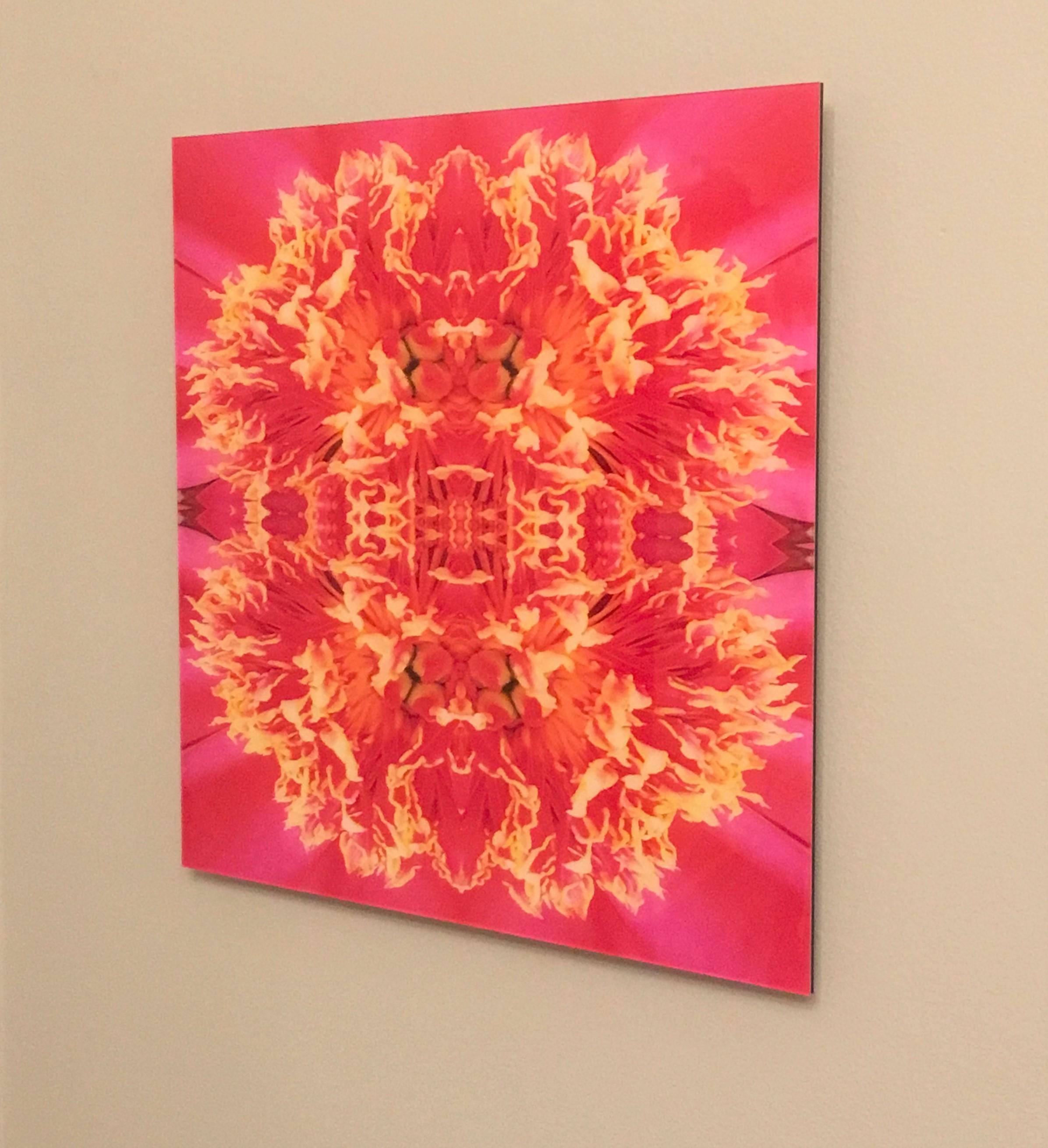 Rebecca Swanson, Frazel Dazel I, Limited Edition Photograph, 15x15, plexifacemount frame.  This stunning image is filled fuschia and a vibrant yellow colors.  This is an edition of 15.  Also available in 30x30.

Rebecca Swanson’s work is inspired