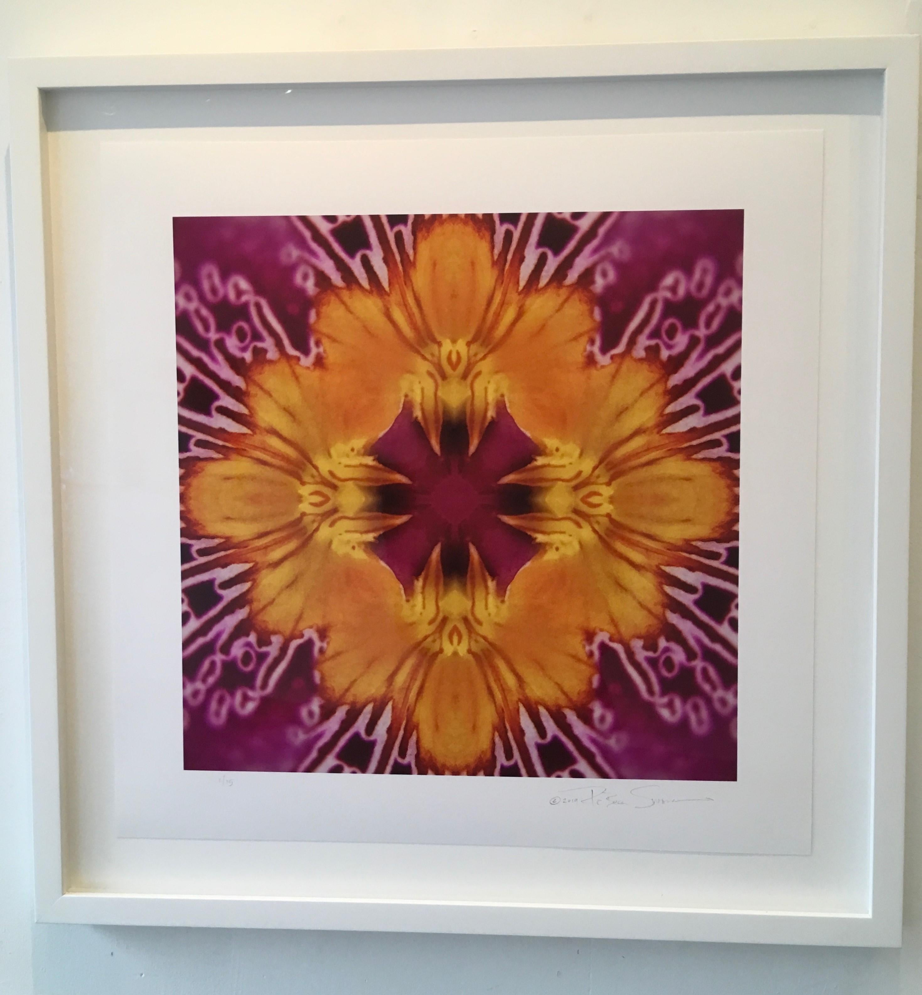 Graphic Blossom IV, Color Photograph, 30x30, Botanical, Pink, Yellow, Framed - Brown Abstract Photograph by Rebecca Swanson