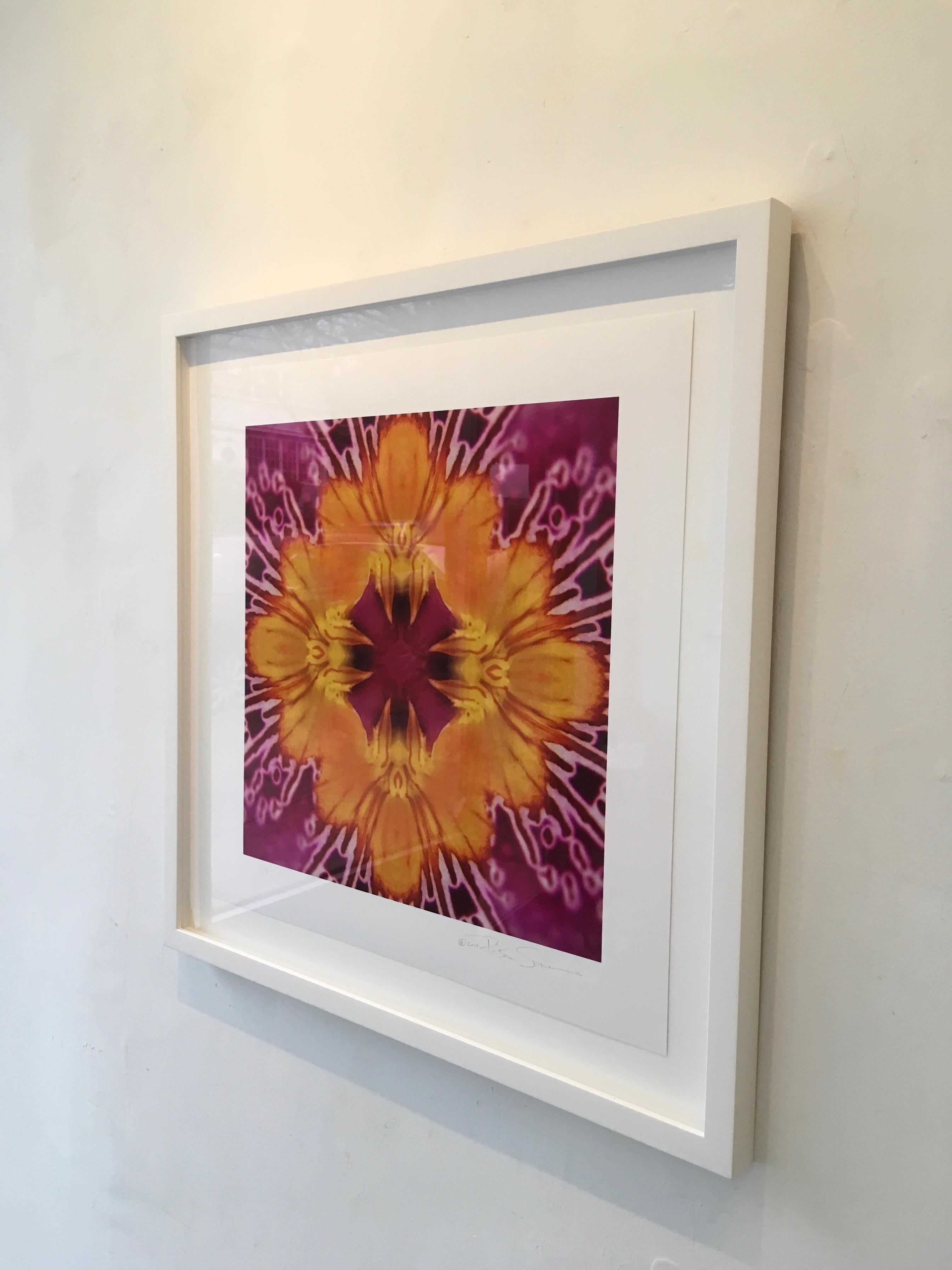 Graphic Blossom IV, Farbfotografie, 30x30, botanisch, rosa, gelb, gerahmt (Zeitgenössisch), Photograph, von Rebecca Swanson