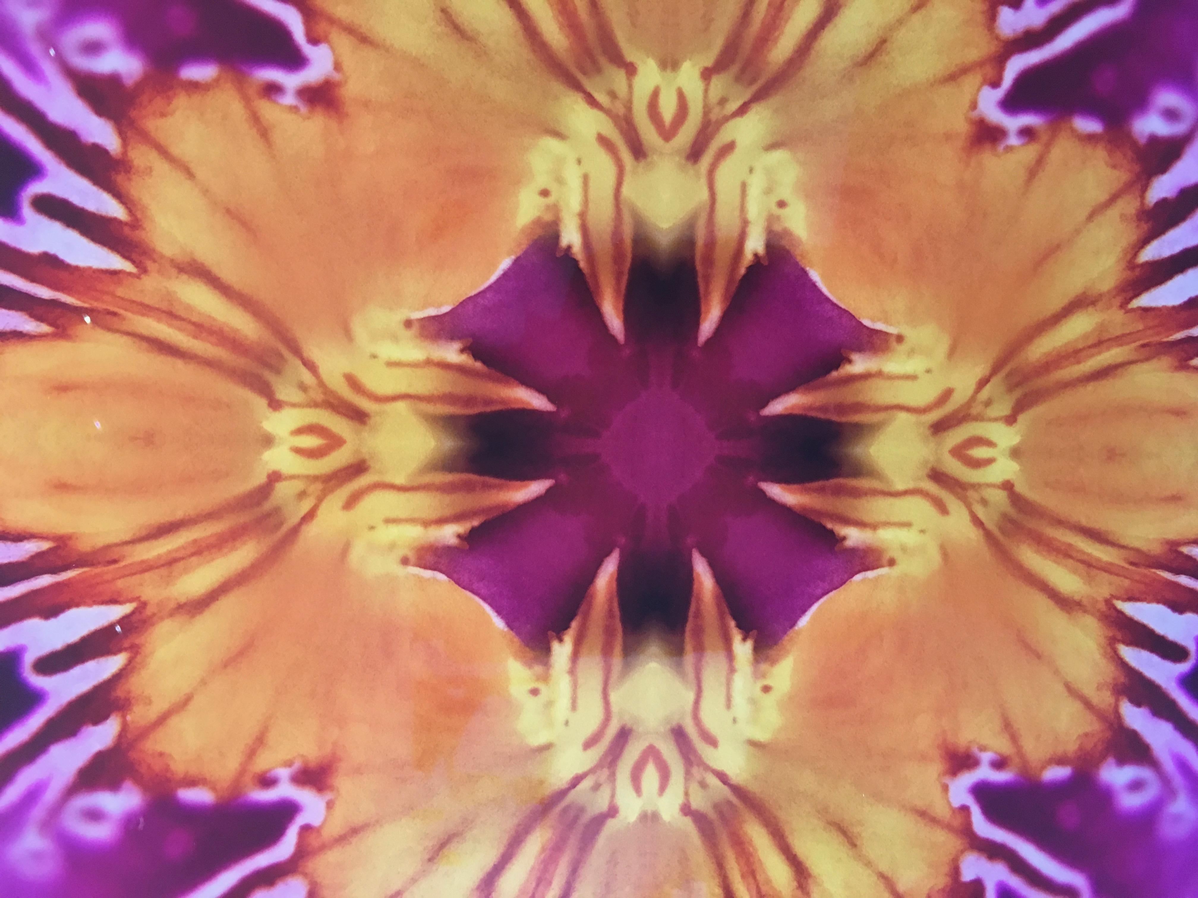 Graphic Blossom IV, Farbfotografie, 30x30, botanisch, rosa, gelb, gerahmt (Braun), Abstract Photograph, von Rebecca Swanson