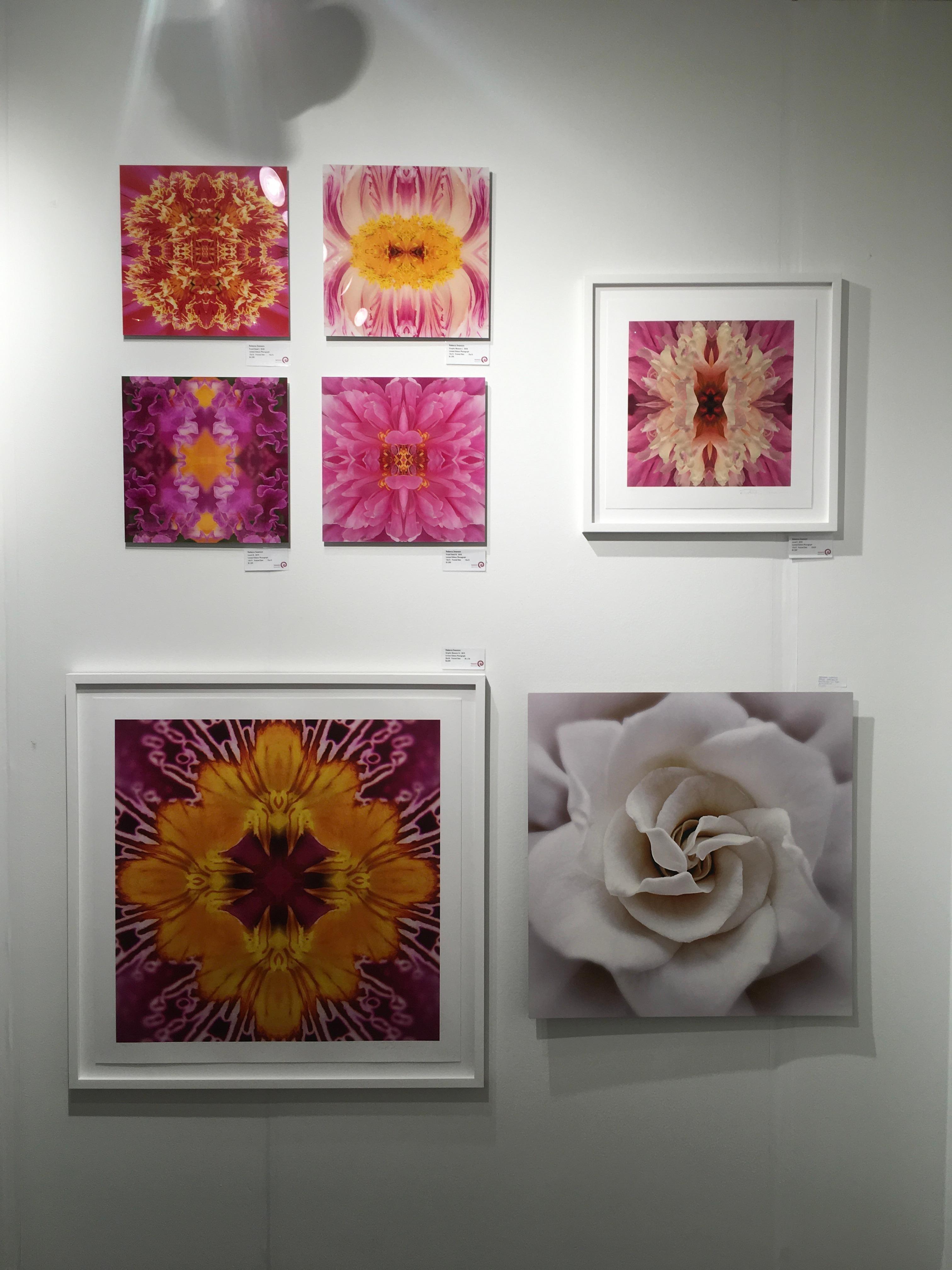 Graphic Blossom IV, Color Photograph, 30x30, Botanical, Pink, Yellow, Framed For Sale 3