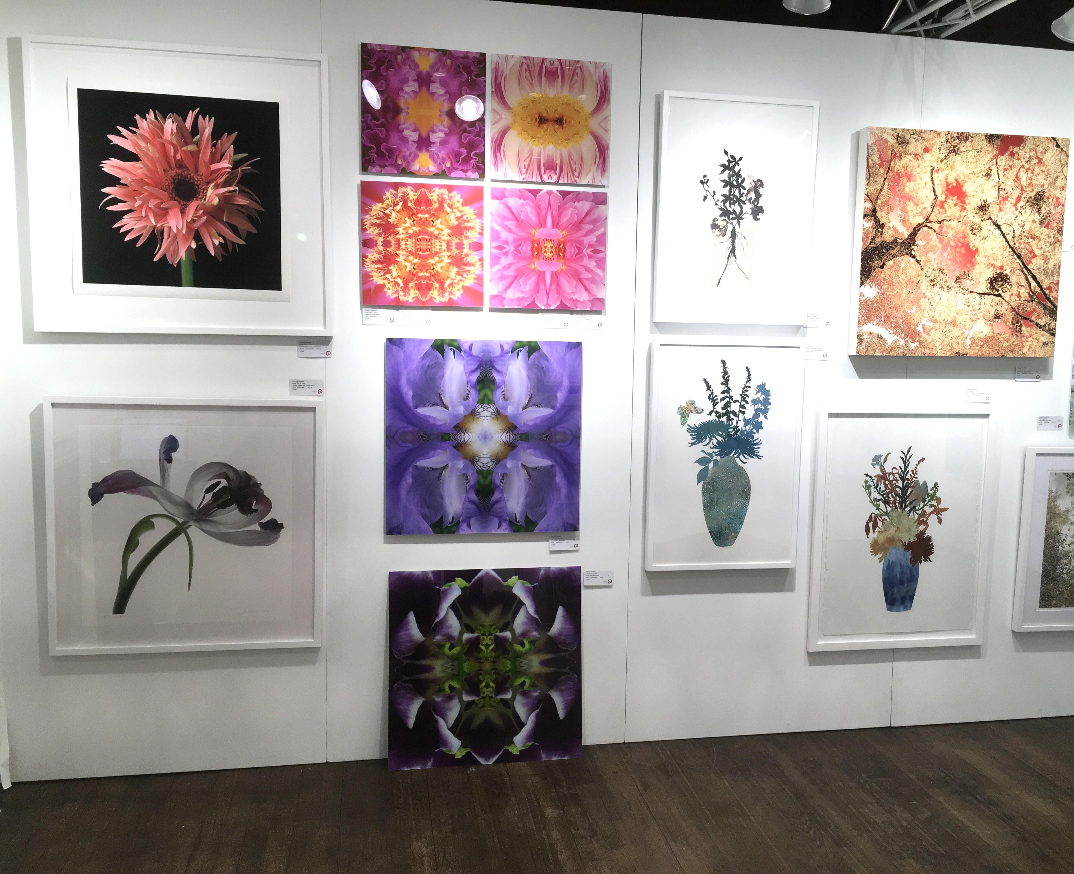 In The Tropics II, photographie couleur, fleurs, 25 x 25, botanique, violet, vert en vente 1