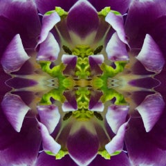 In The Tropics II, Color Photography, Flowers, 25x25, Botanical, Purple, Green