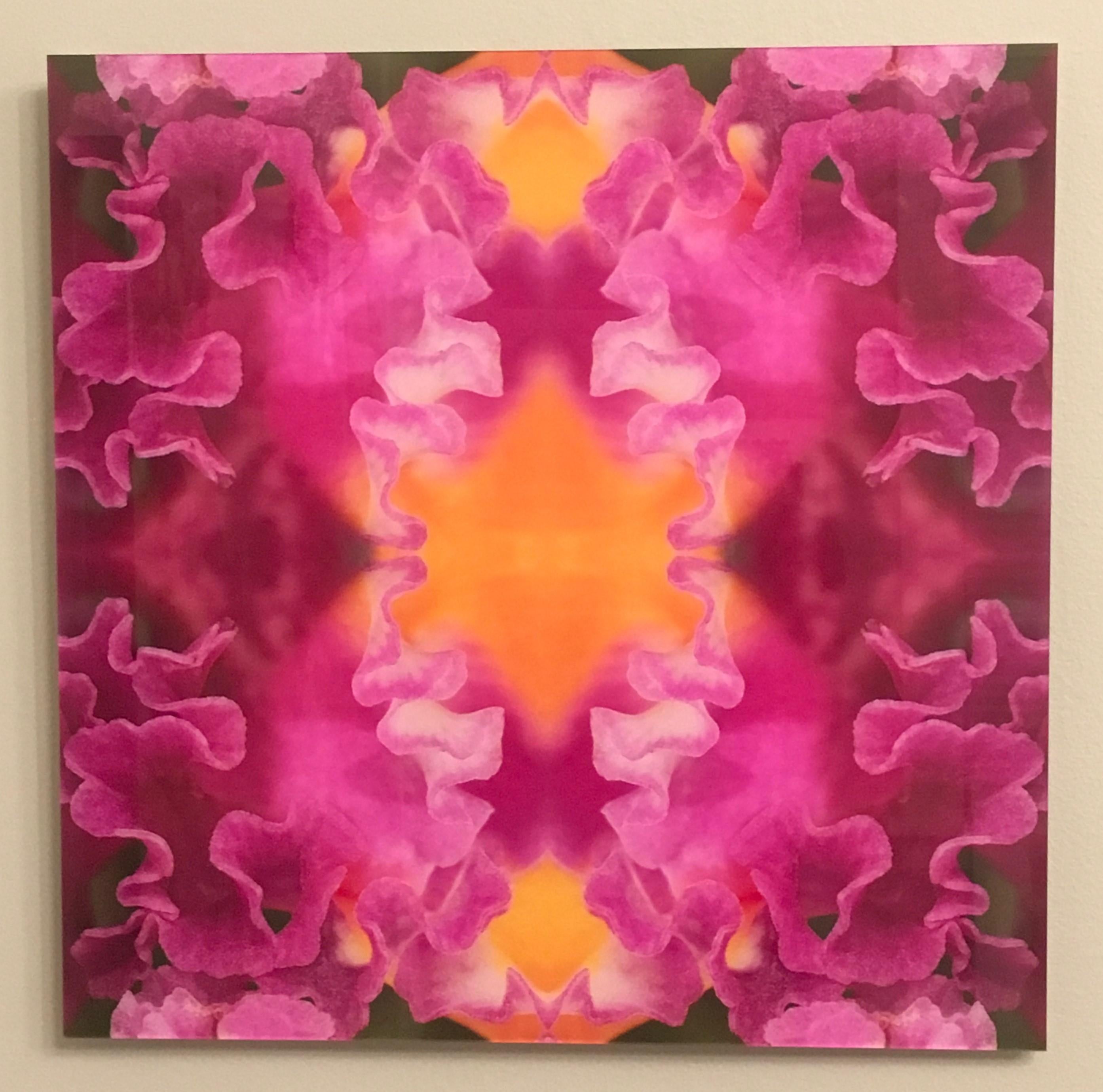 Laced III, Fotografía Botánica, Rosa, Naranja, Flores, Edición Limitada - Photograph de Rebecca Swanson