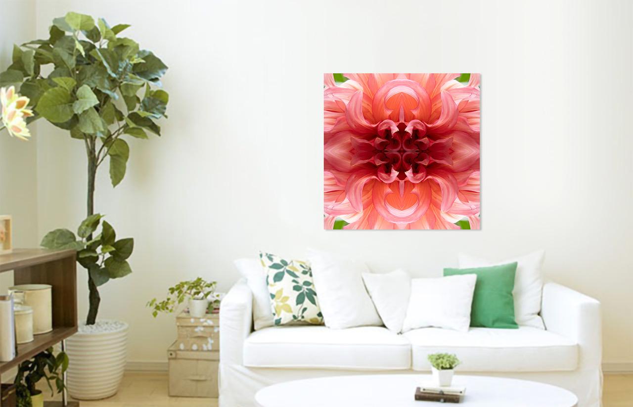Swirls I, photographie couleur, fleurs, botaniques, rose, rouge, pétales - Photograph de Rebecca Swanson