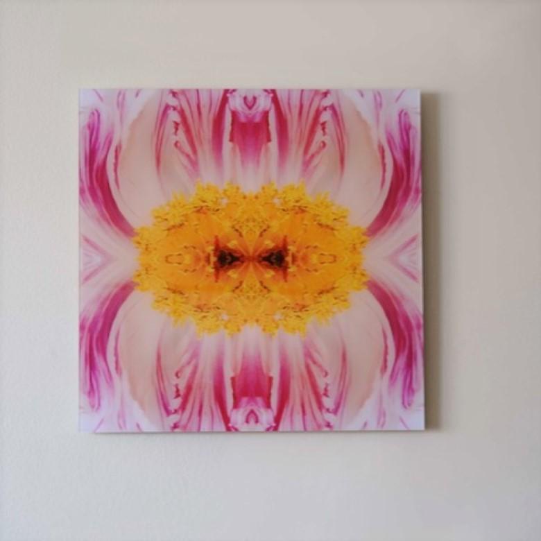 Wonderment V, Color Photograph, Limited Edition, Flower, Botanical, horizontal For Sale 2