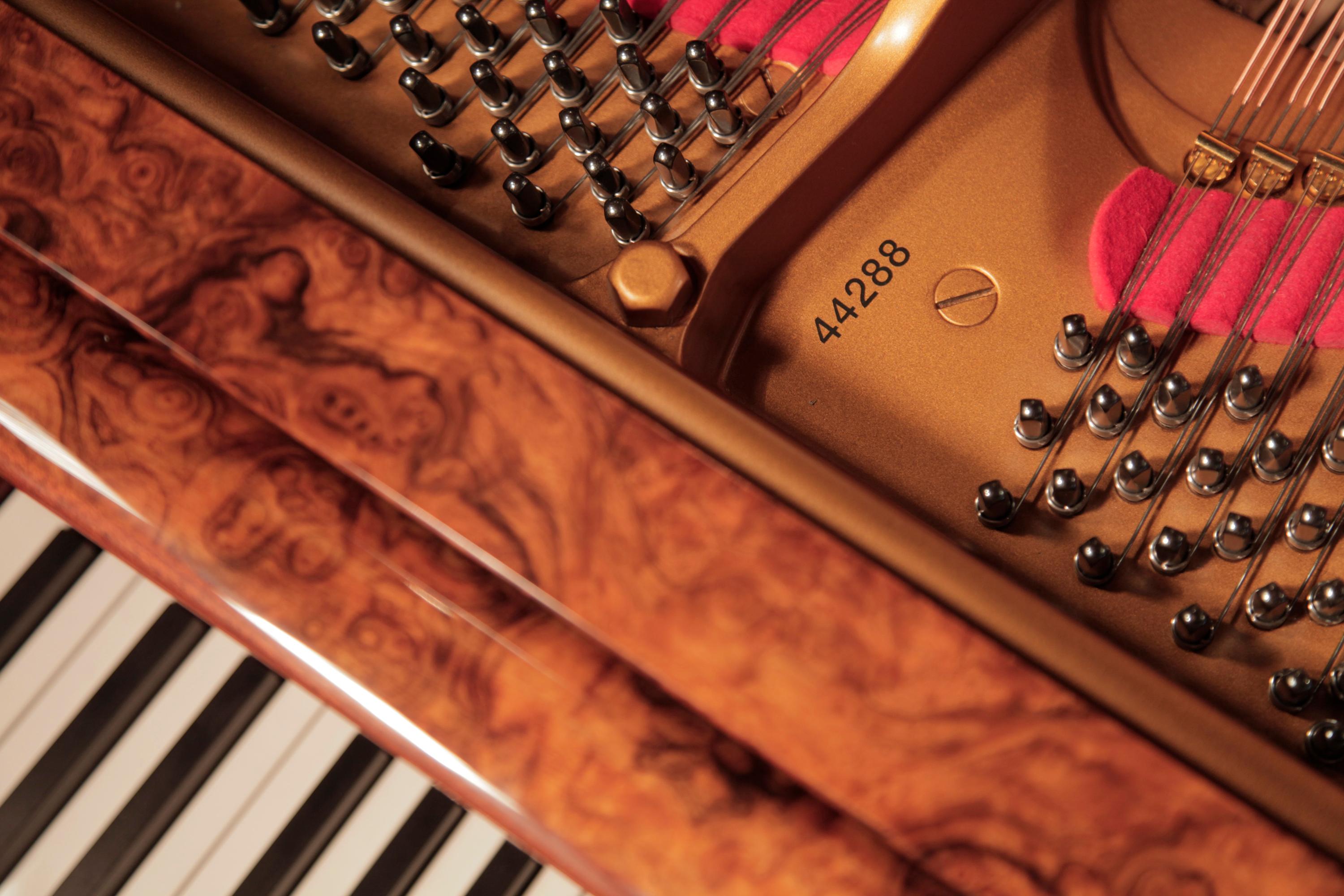Piano à queue de concert Steinway & Sons modèle D, ronce de noyer, reconstruit en 1881 en vente 3