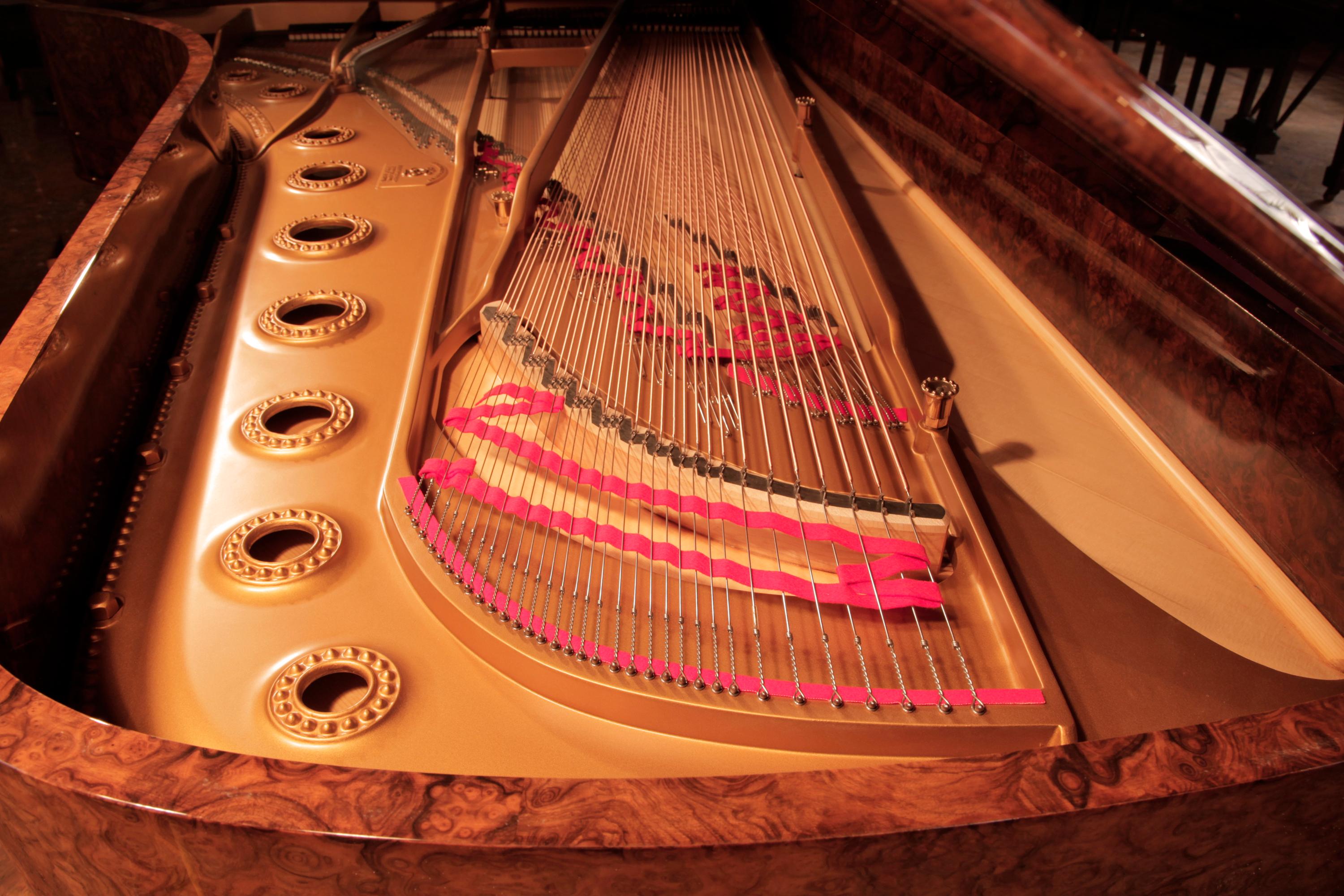 Piano à queue de concert Steinway & Sons modèle D, ronce de noyer, reconstruit en 1881 en vente 6