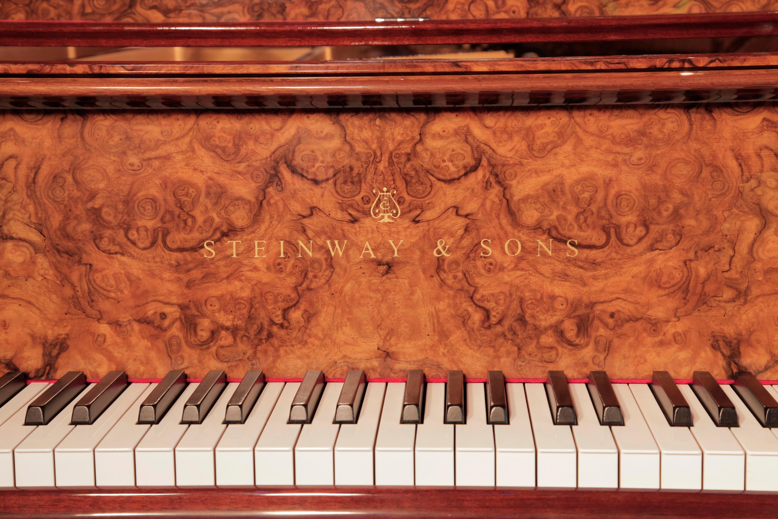 Piano à queue de concert Steinway & Sons modèle D, ronce de noyer, reconstruit en 1881 en vente 10