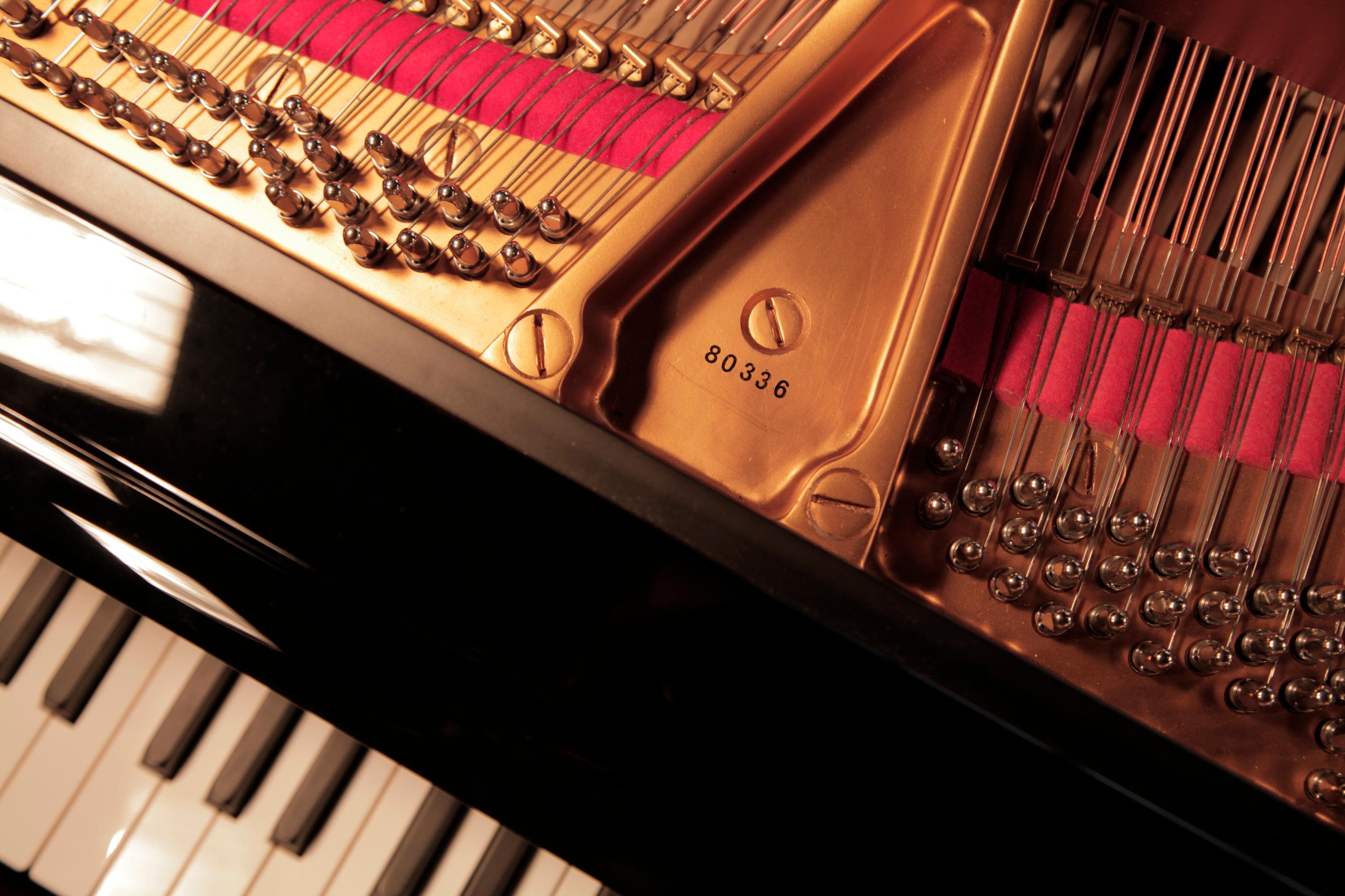Pieds de tonneau cannelés noirs brillants Steinway modèle Grand Piano restaurés en vente 1